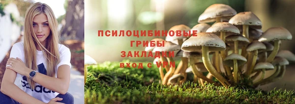 тгк Балабаново